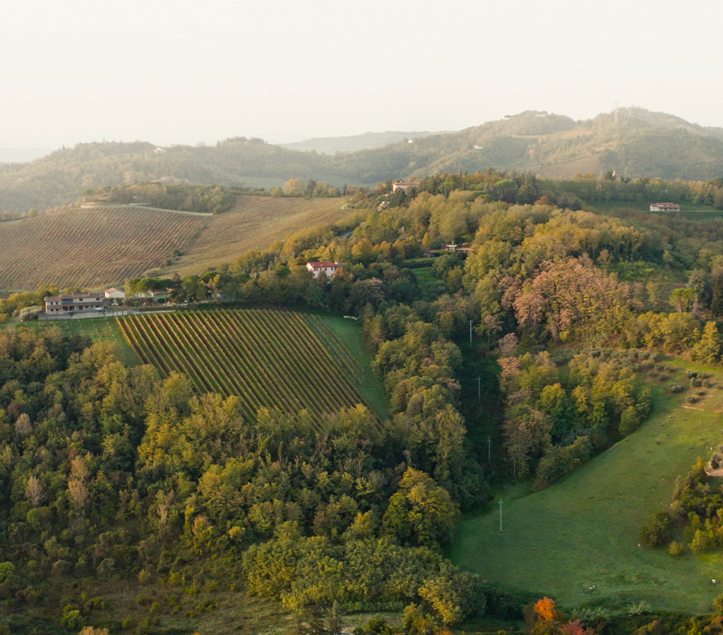 Amadori_Azienda-i-nostri-valori