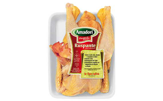 Farmyard Chicken