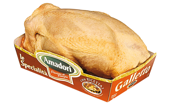Cockerel
