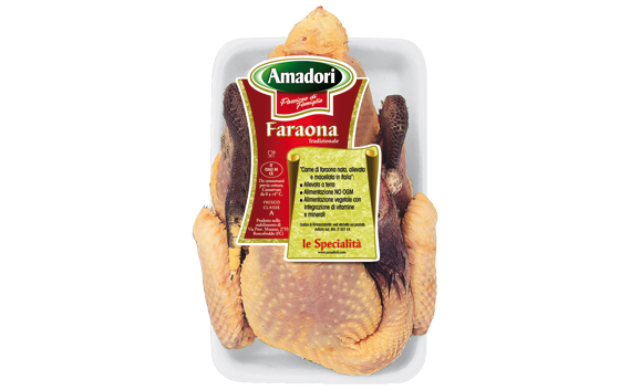 Old-fashioned Guinea Hen