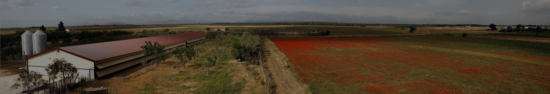 Header_Filiera